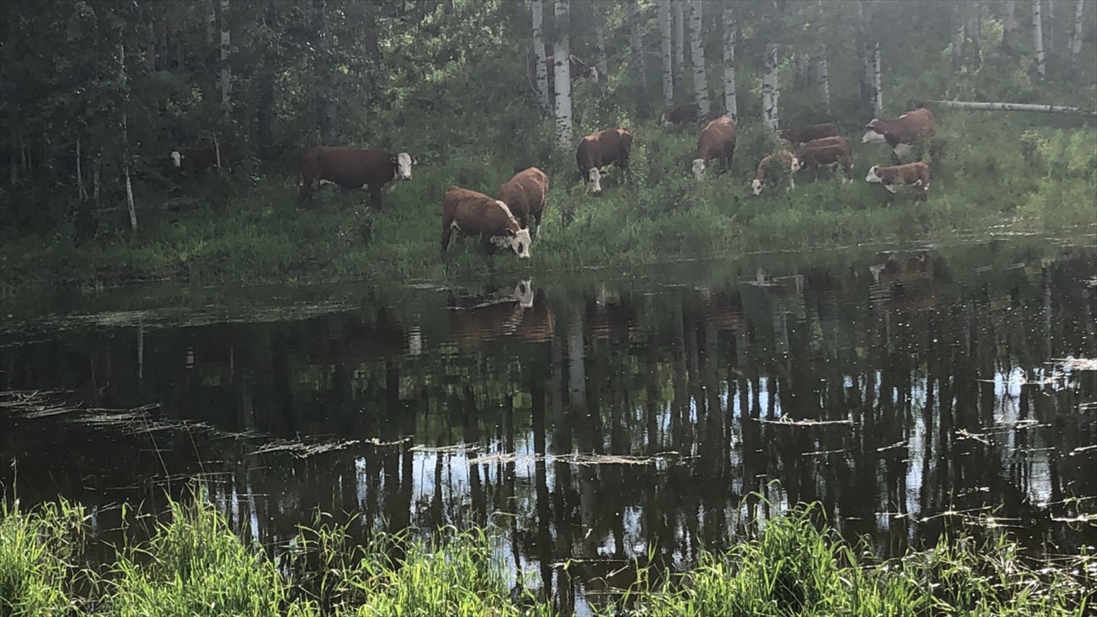 9-26 - Myles Van Sickle