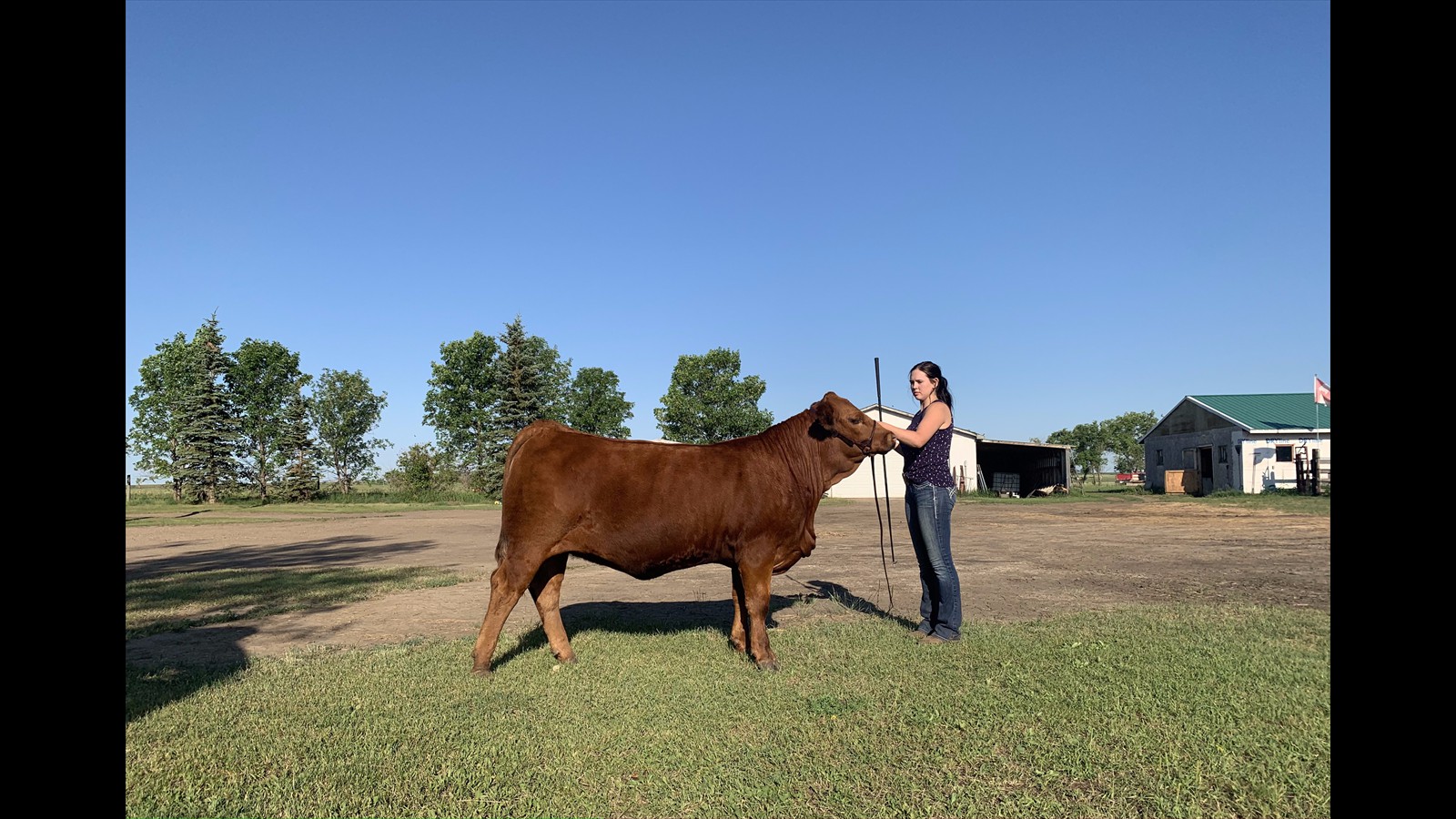 101B_Danielle Matonovich_Class B