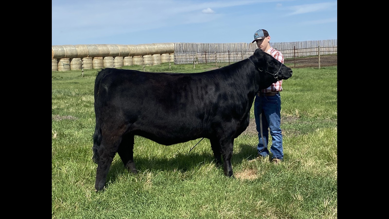 108B_Seth McIntosh_Class B