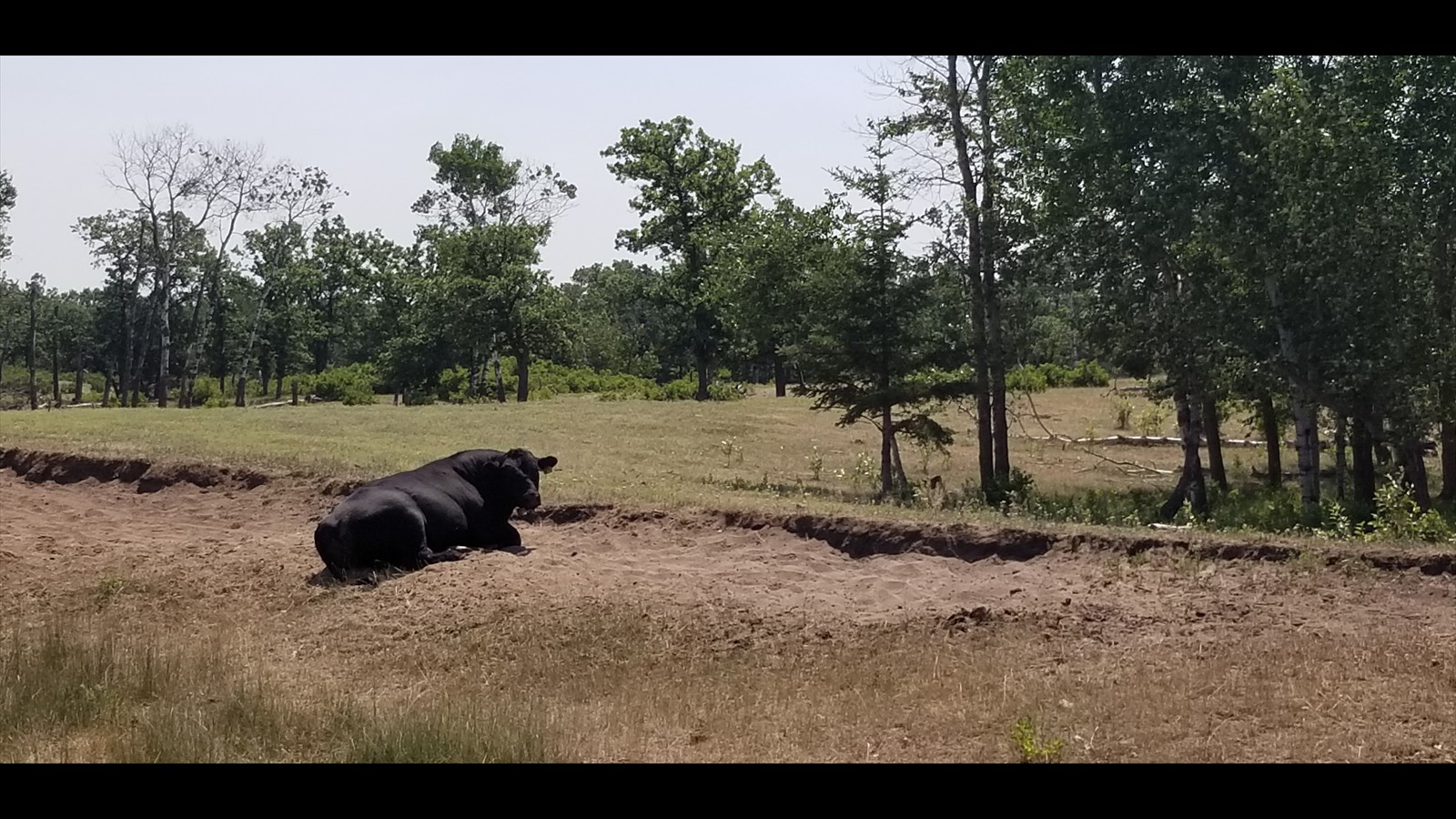 10_Lucas Bieganski_Junior_Photography