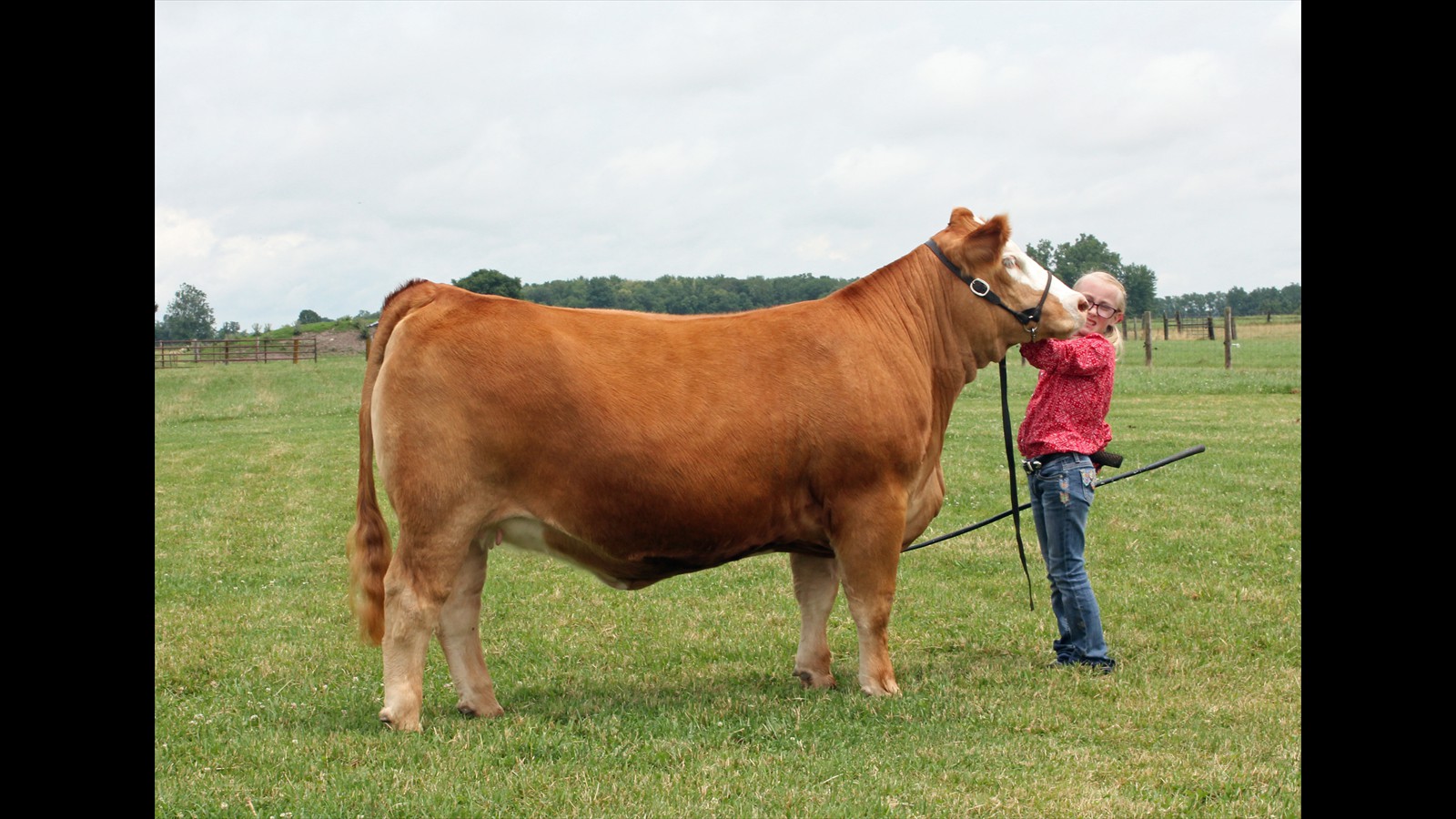 113B_Shelby Crawford_Class B