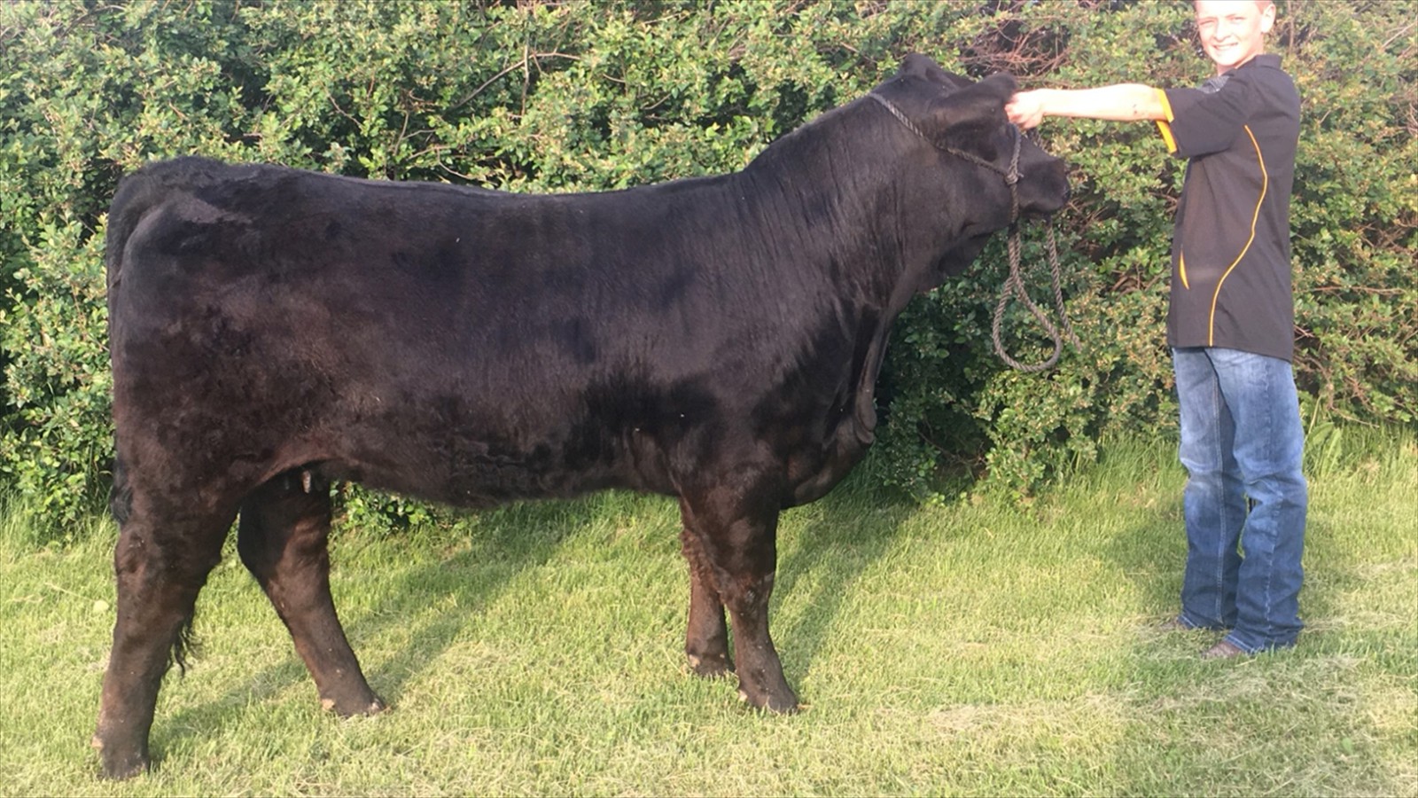 114B_Max Burris_Class B