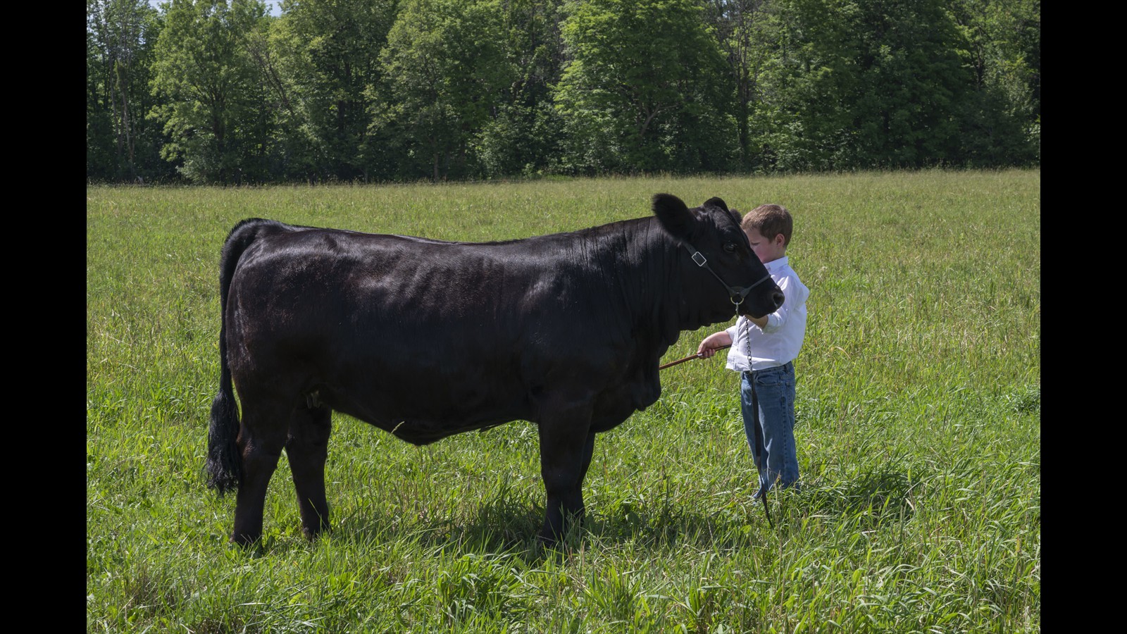 117B_Ray McCann_Class B