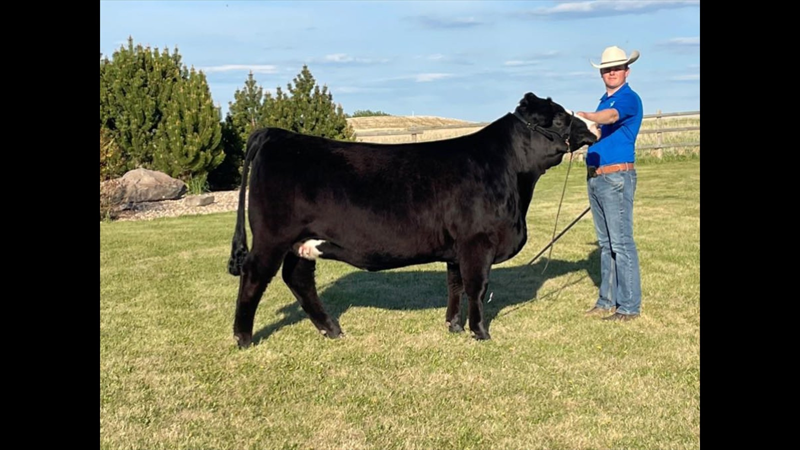 118B_Kyle Yaremko_Class B