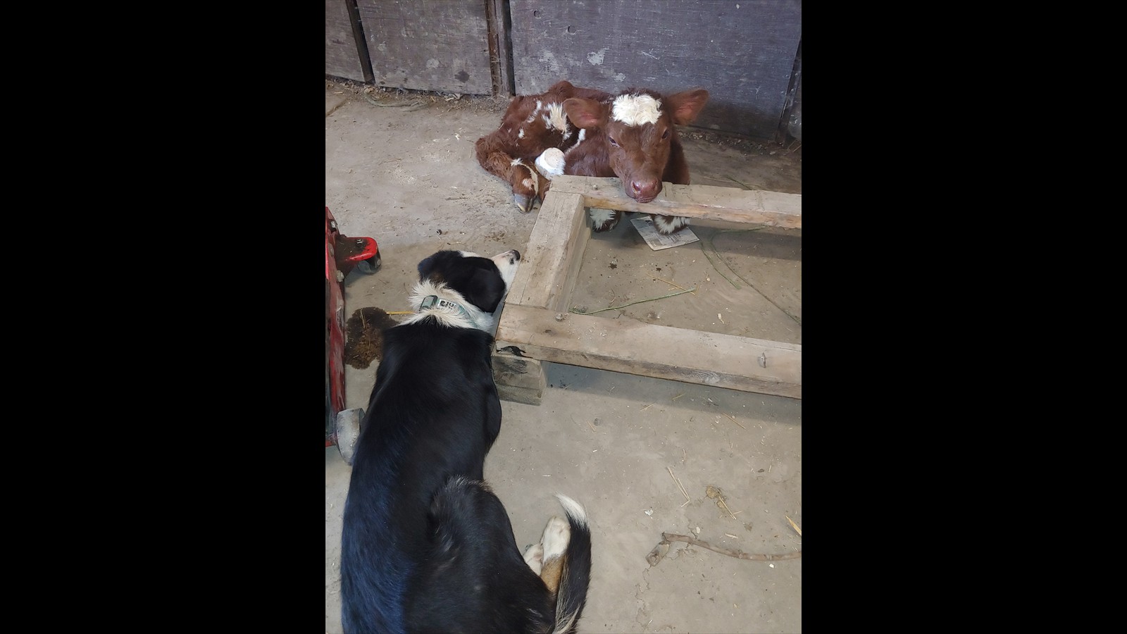 12_Sveinna Bjarnarson_Junior_Photography