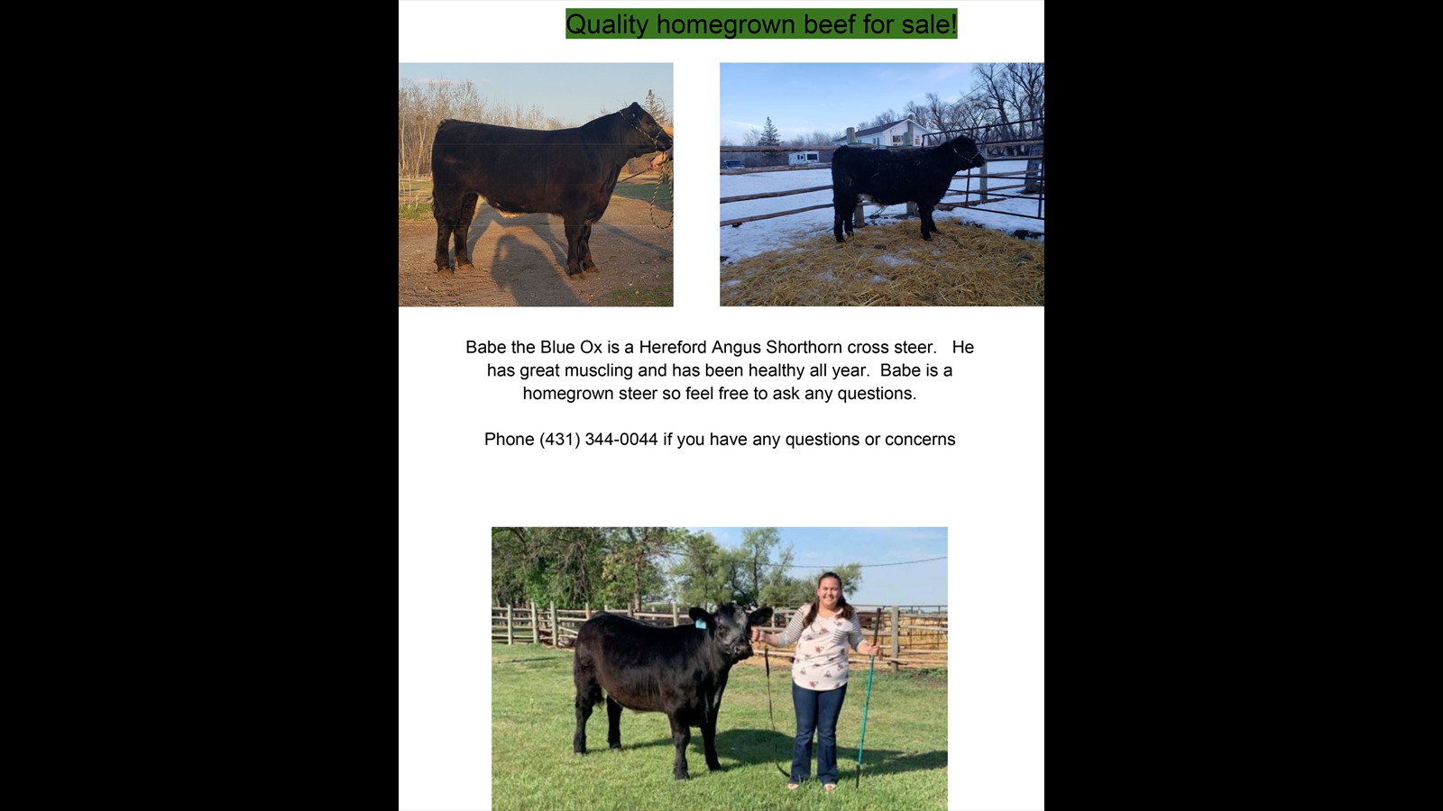 14_Harleigh-Carlson_Intermediate_Graphic-design