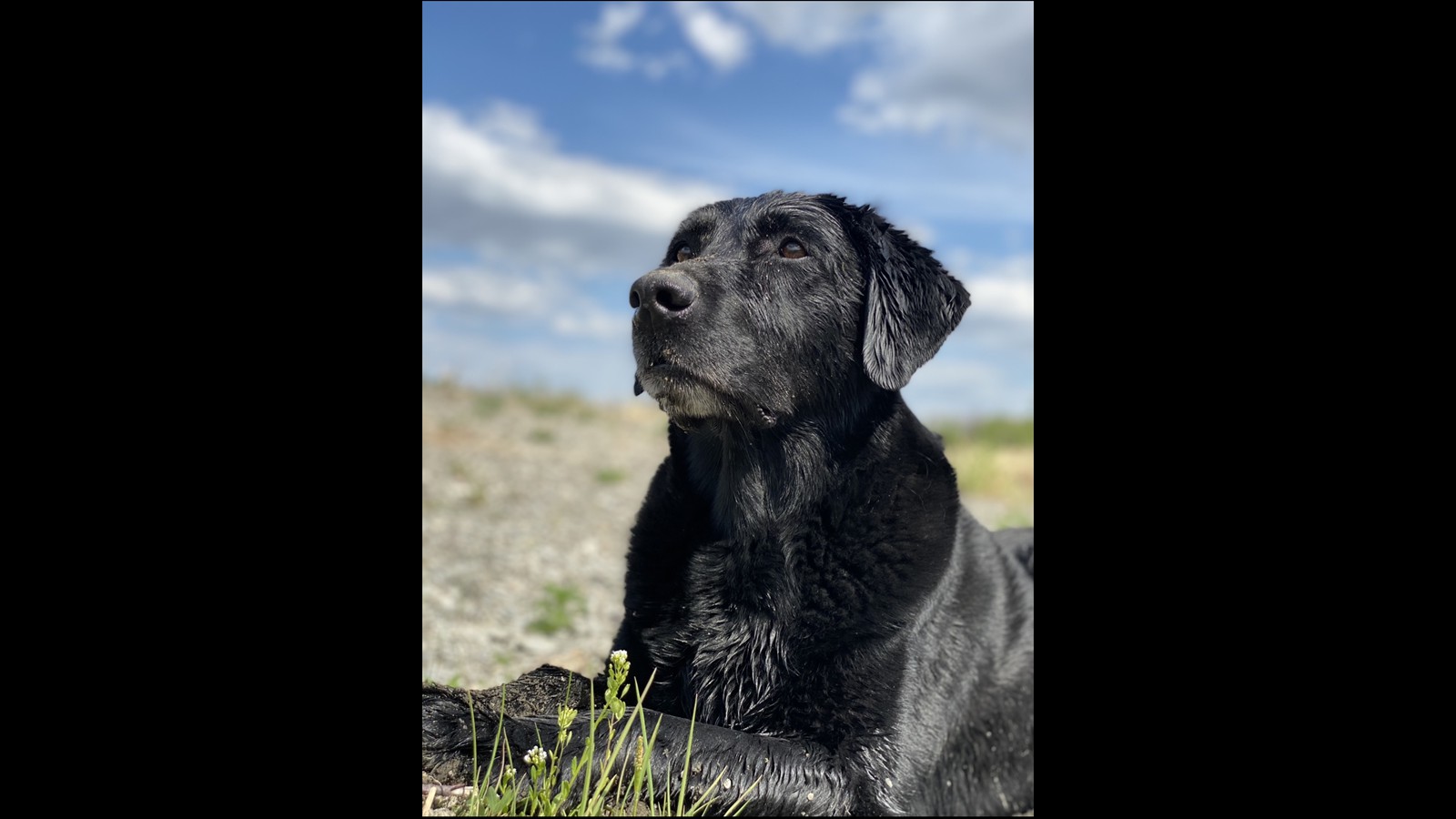 16_Fischer Cavers_Junior Photography