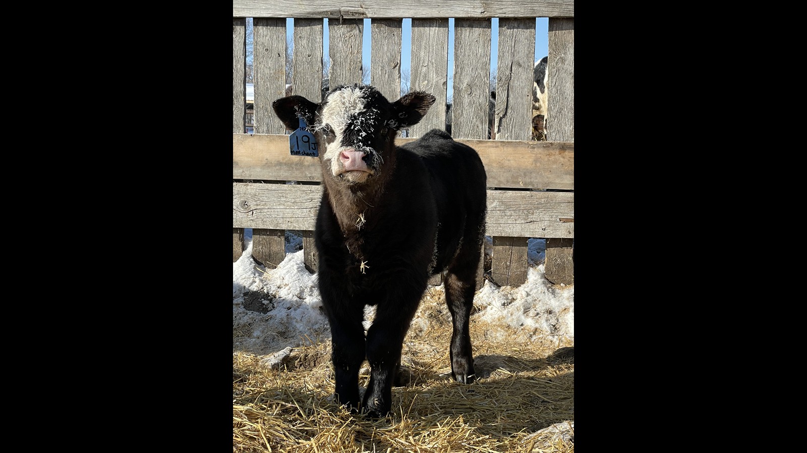 17_Kaitlyn Davey_SR_Photography