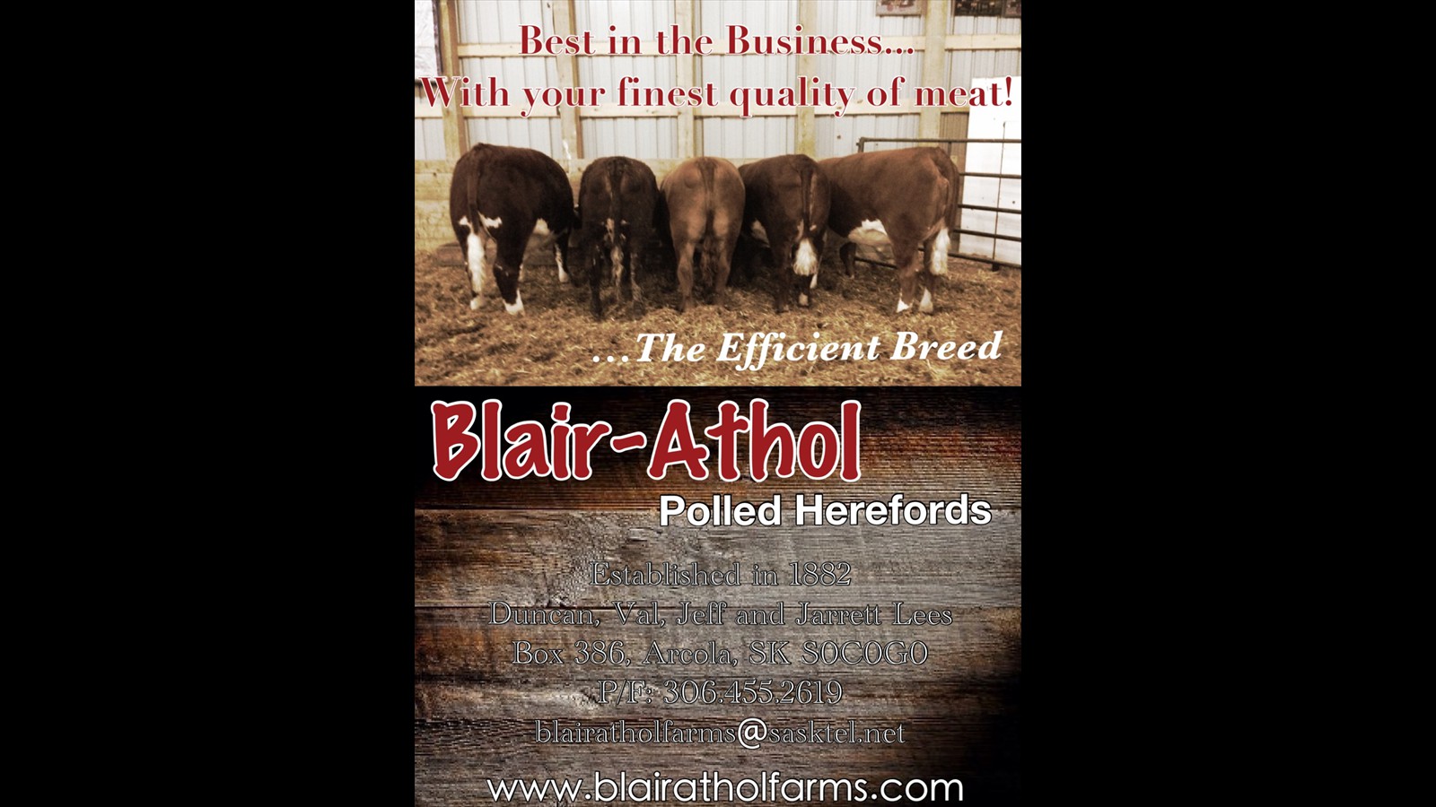 18_Christin Dixon_Senior_graphic design