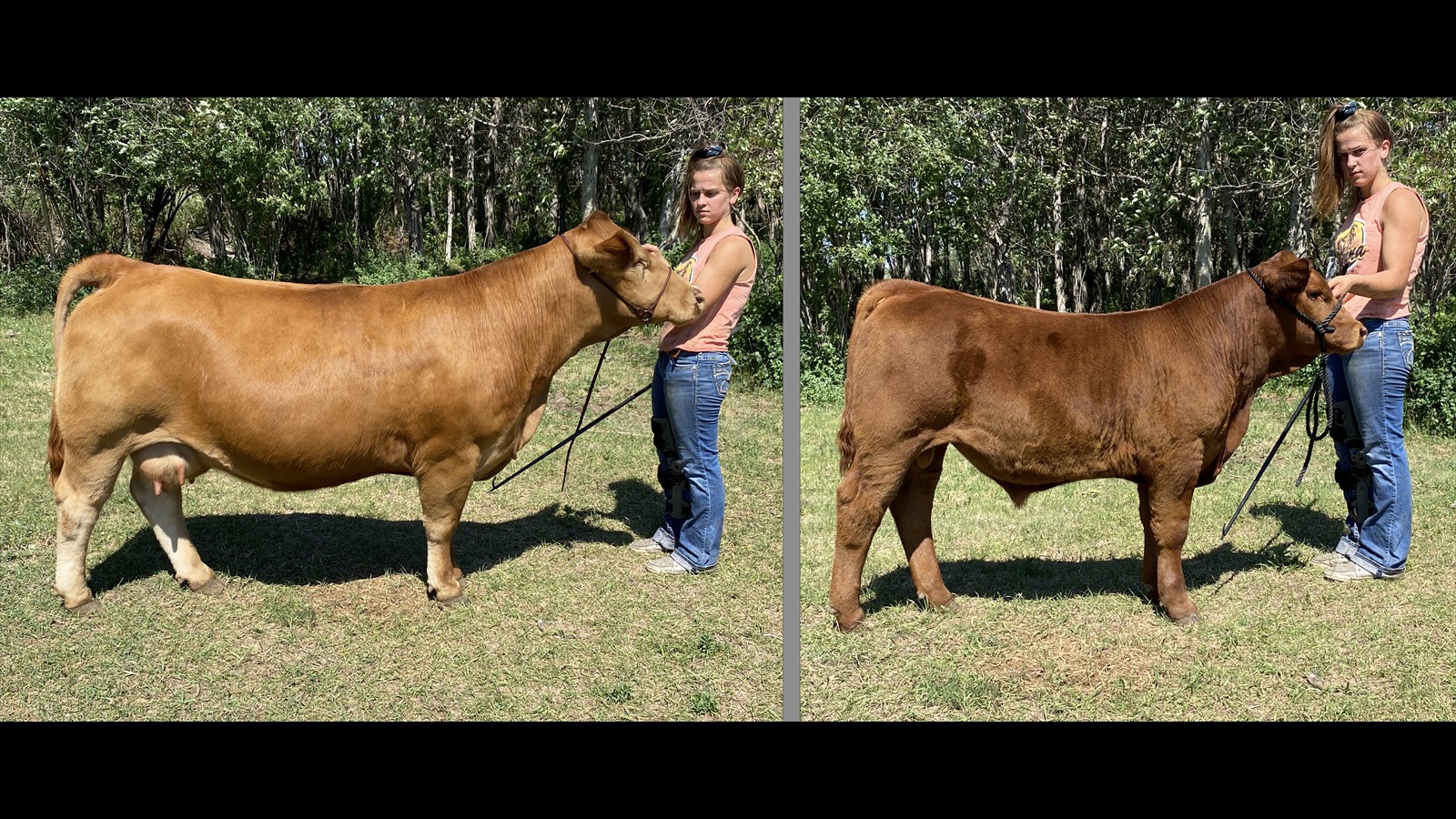 204C_Brynn Whelan_Class C