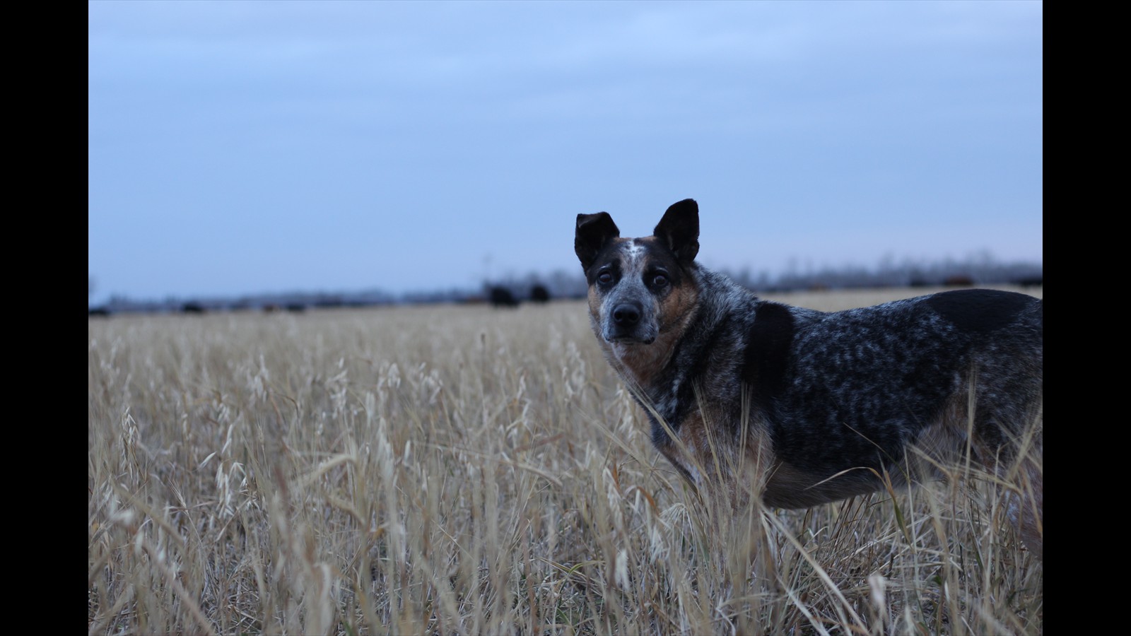 21_Keira Duguid_Jr_Photography