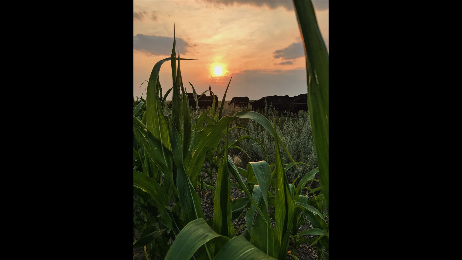 22_Grace Glover_Intermediate_Photography