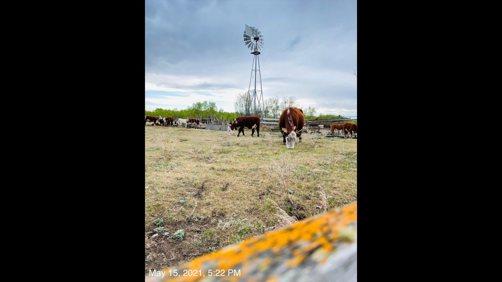 24_Orianna Hyndman_Senior_Photography