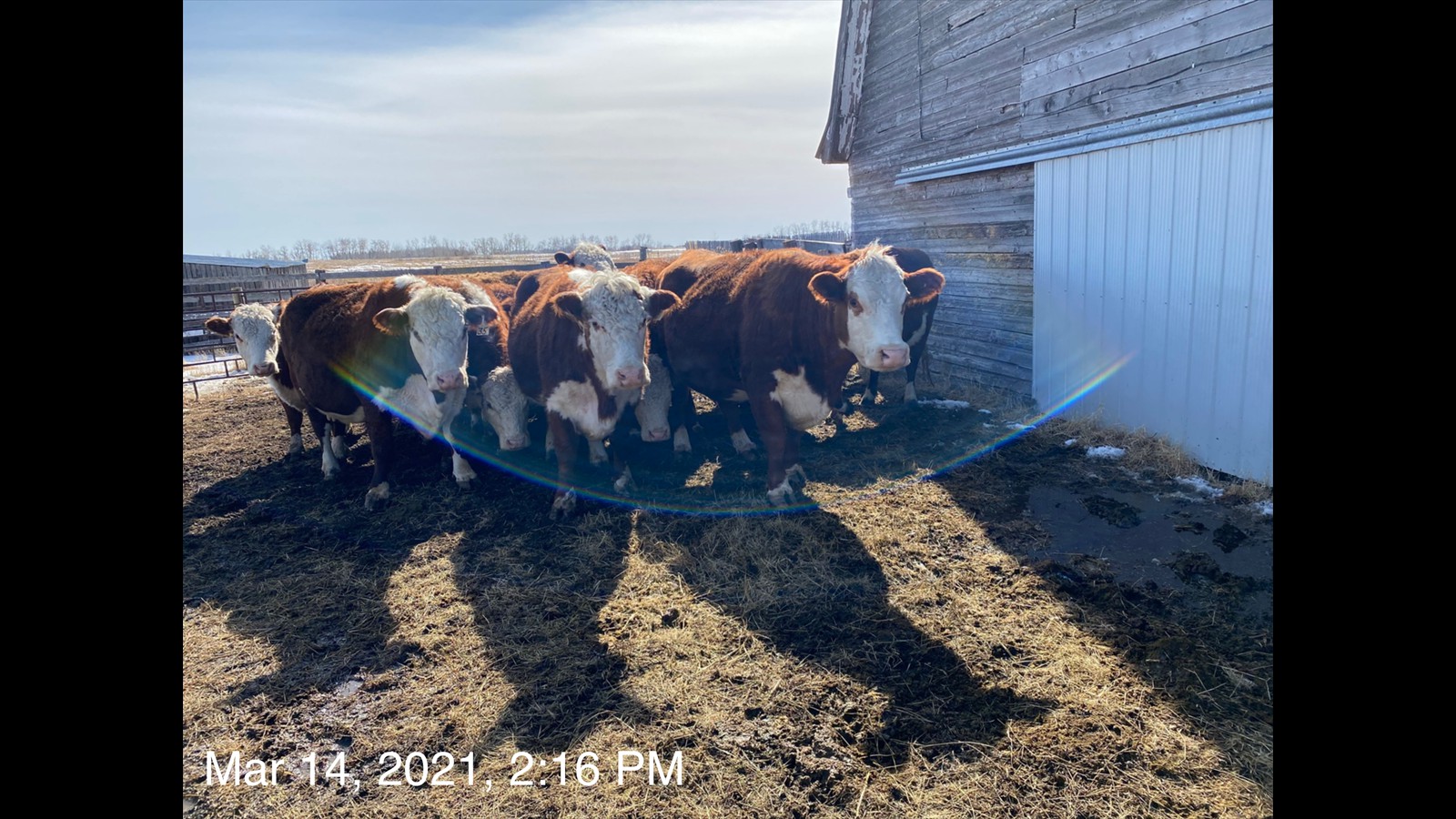 25_Teegan Hyndman_Intermediate_Photography