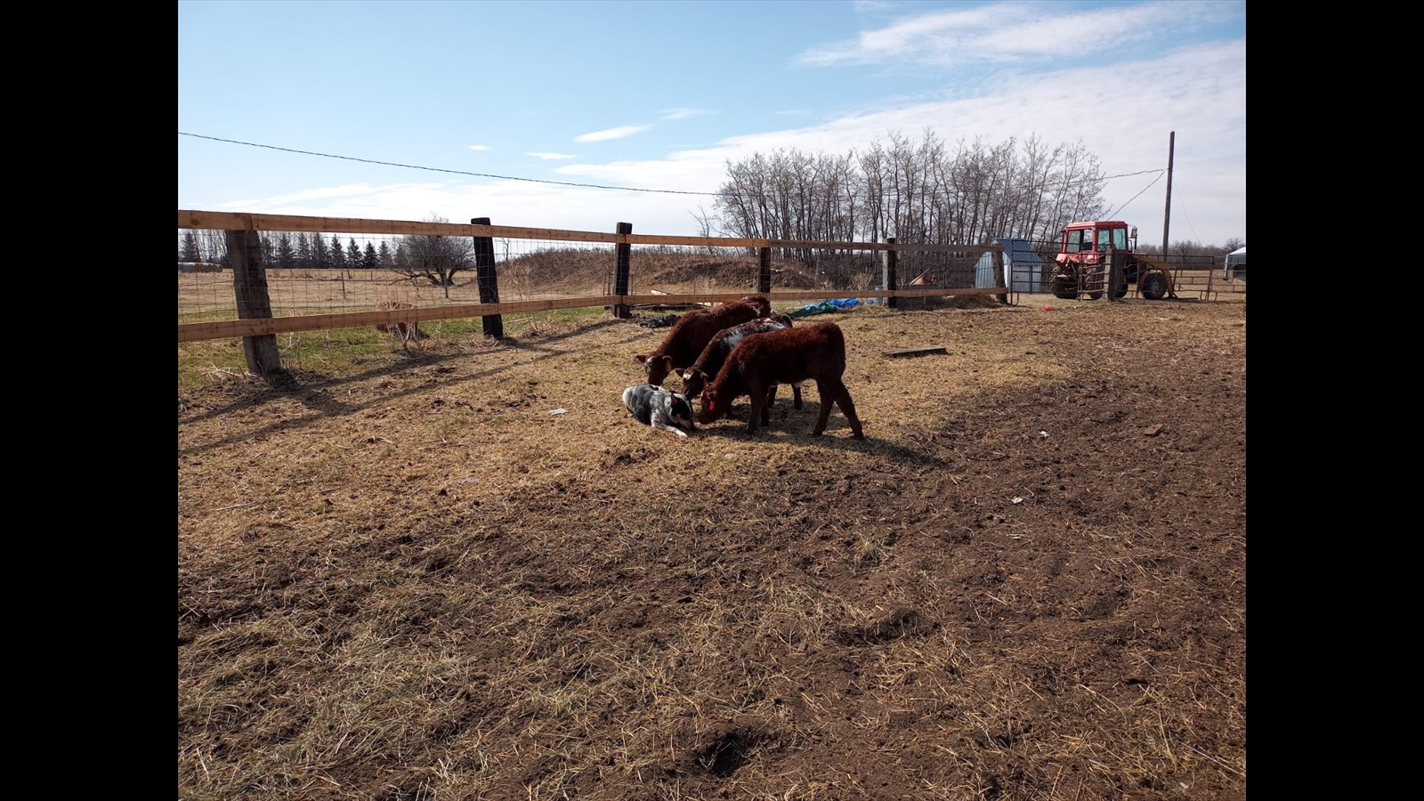 27_Sierra Inglis_Intermediate_Photography