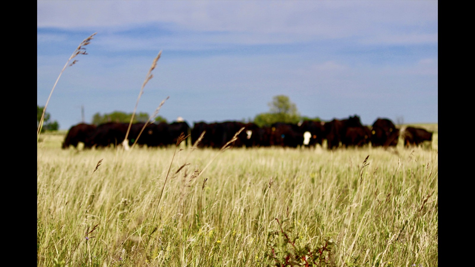 28_Kyleigh Magotiaux_SR_Photography