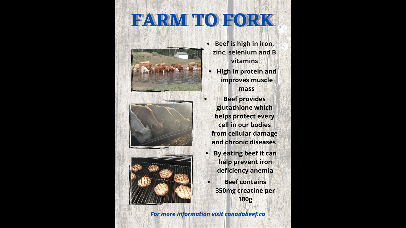 36_Madisyn_Robertson_Intermediate_Graphic-Design