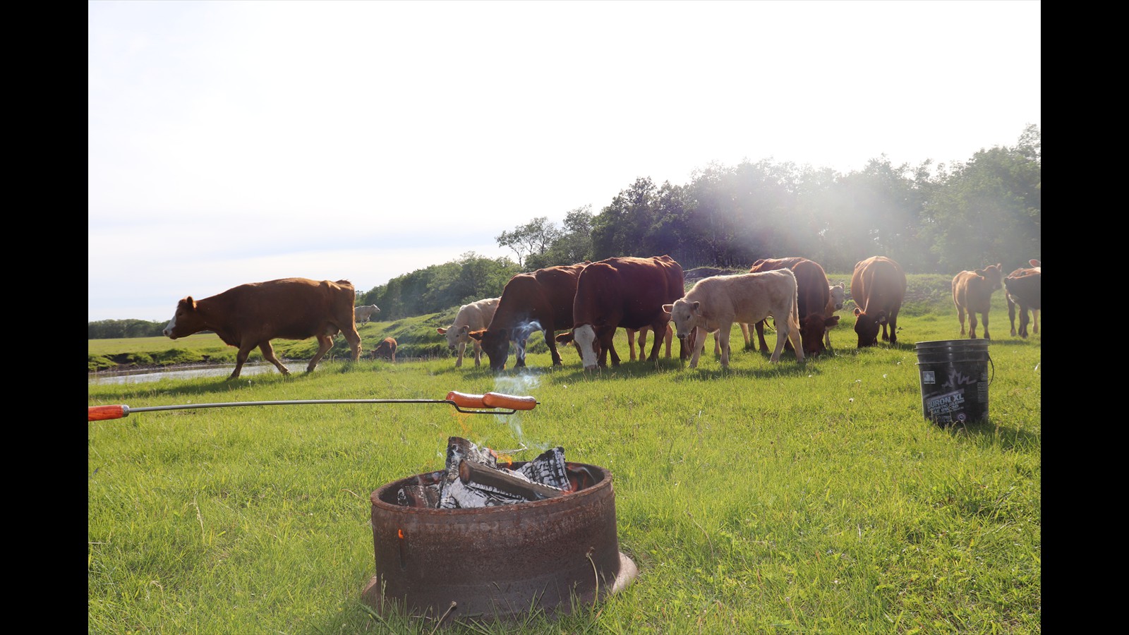 36_Madisyn Robertson_Intermediate_Photography