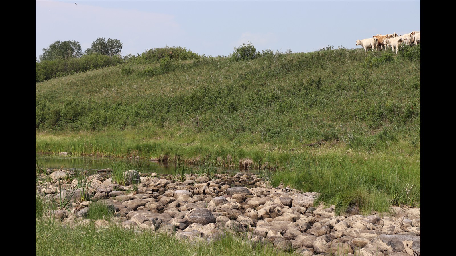 3_Chase Airey_Junior_Photography