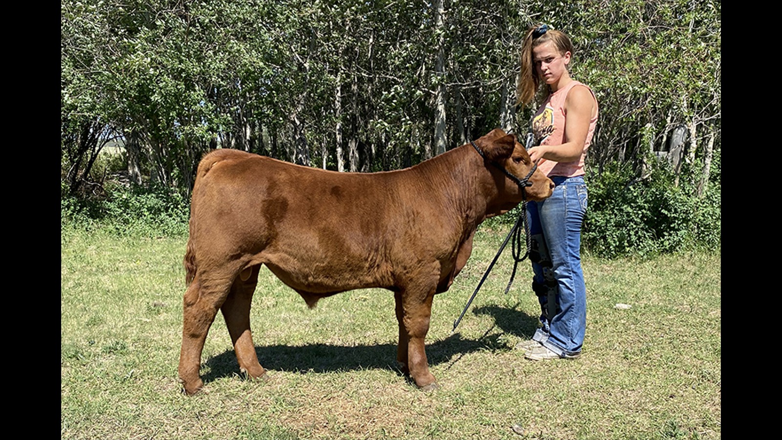 404E_Brynn Whelan_Class E