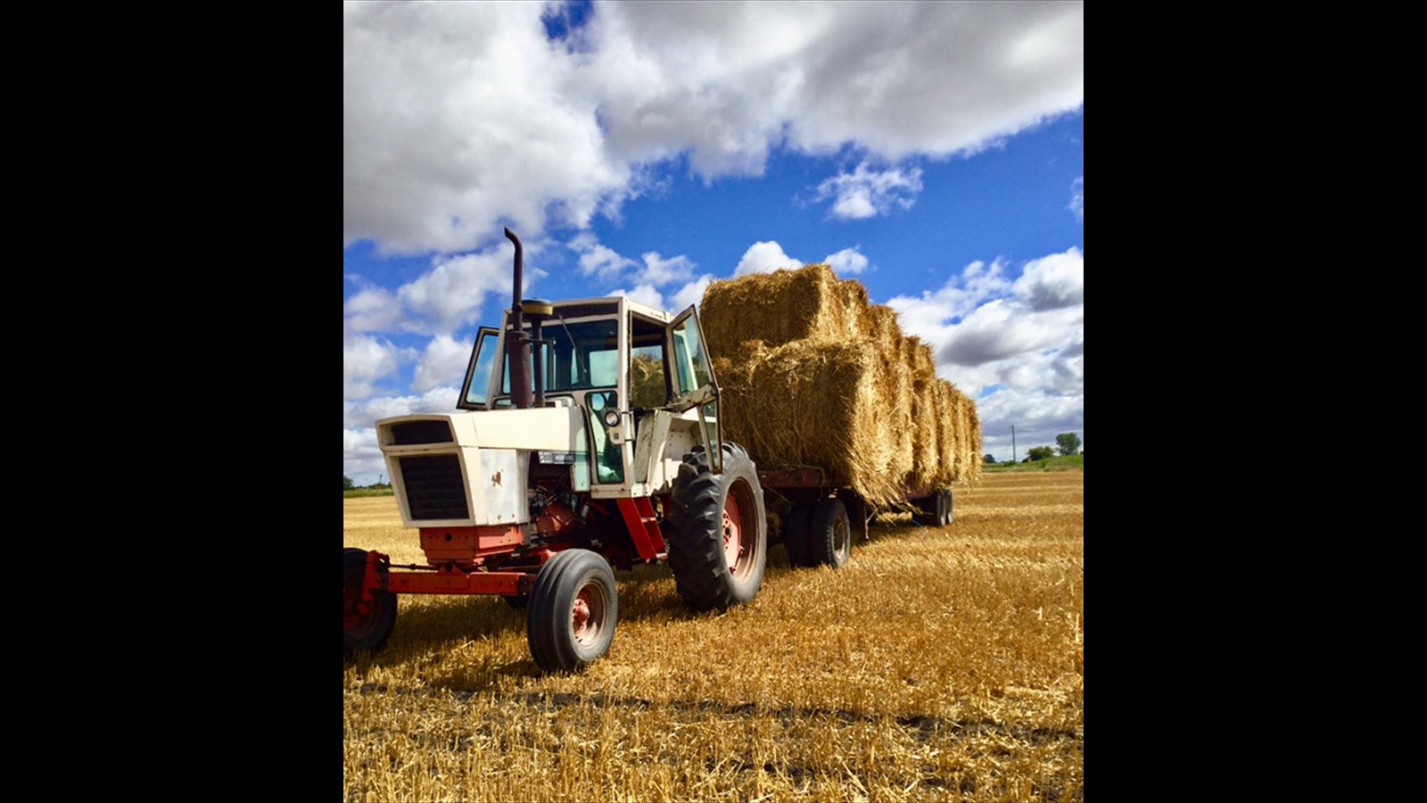 8_Jackson Best_Junior_Photography